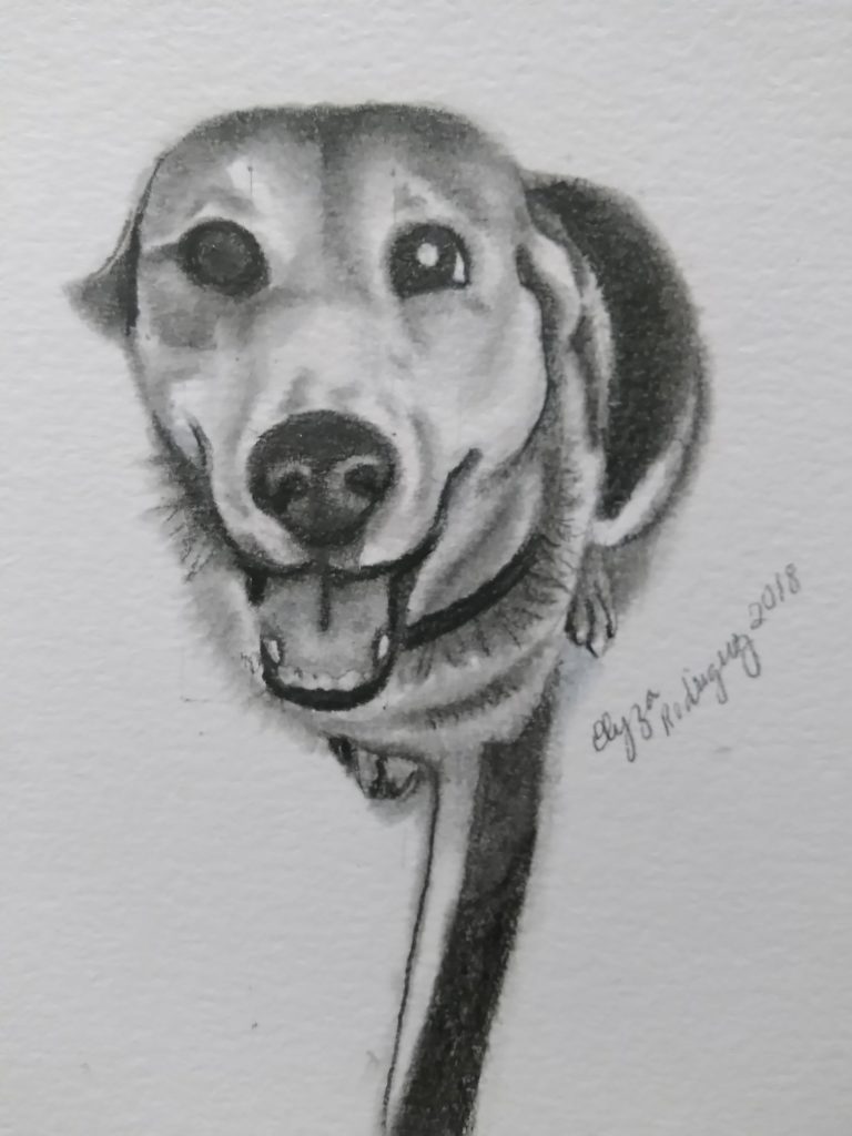 Dog portraits https://toseaornottosee.com