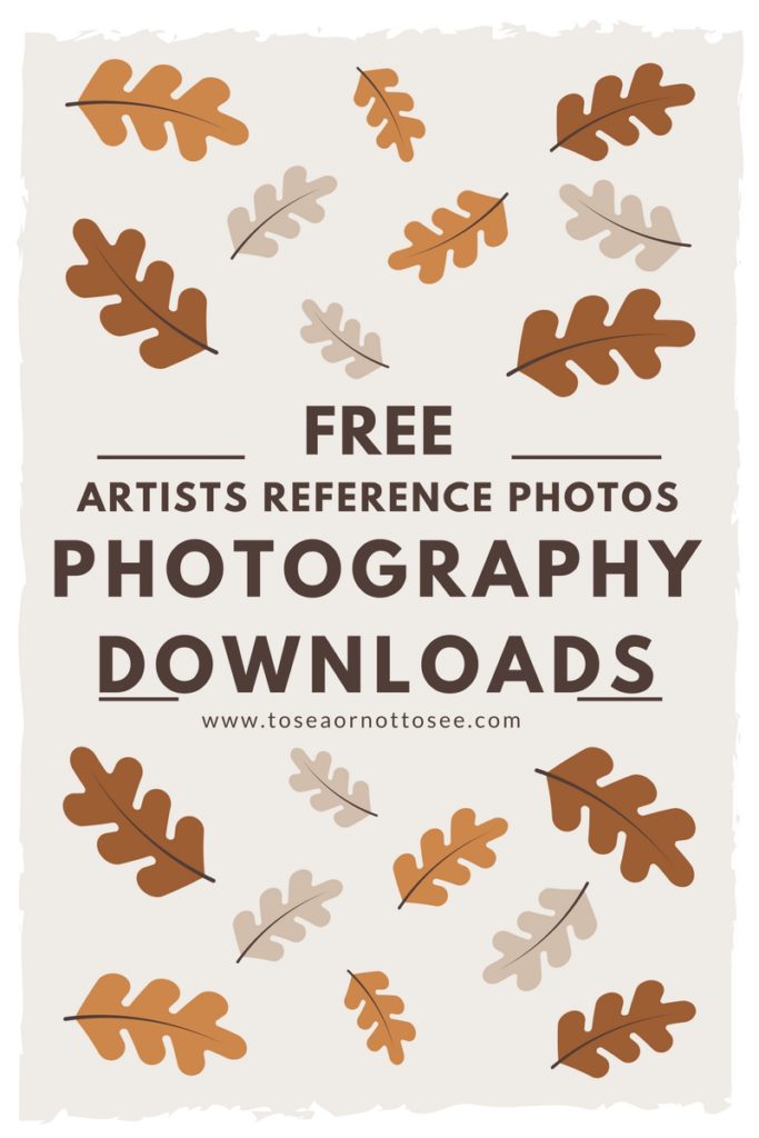 Free Artists Reference Photos https://toseaornottosee.com