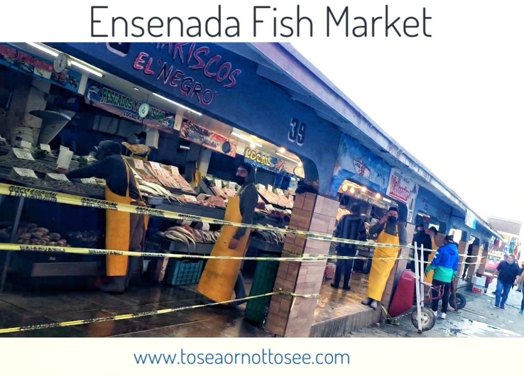 Ensenada Fish Market has the freshest fish and shrimp and great prices!