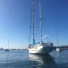 Sailboat anchored in San Diego's picturesque anchorage – Experience the benefits of living on a boat