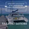 Picking the Right Sailboat - A catamaran resting in a picturesque marina